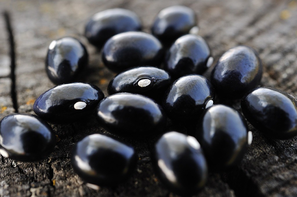 Healthy Habit #5: Eat the magical beans, Jack